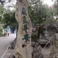 評論圖片 5