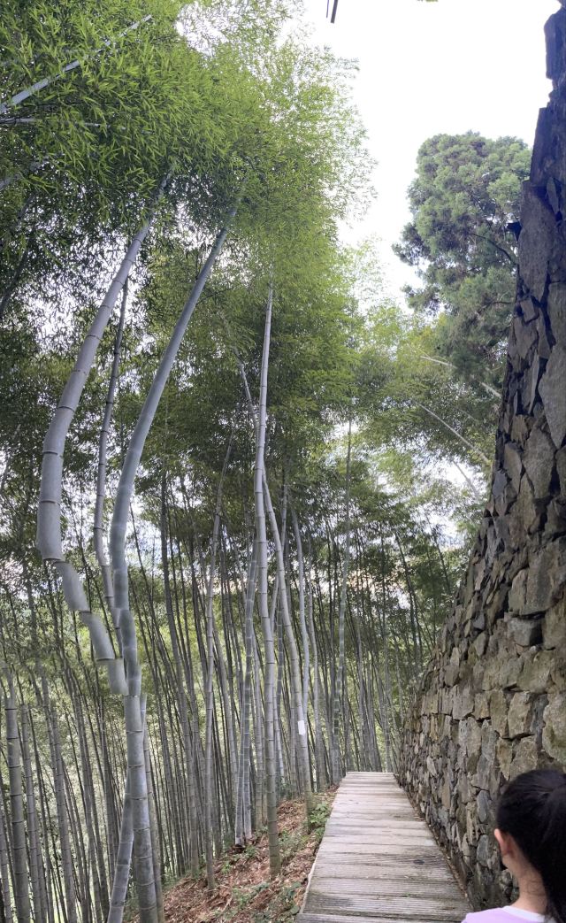 무컹주하이