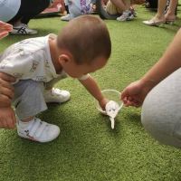 評論圖片 1