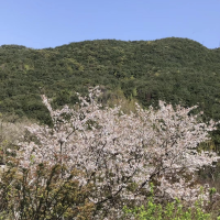 評論圖片 8