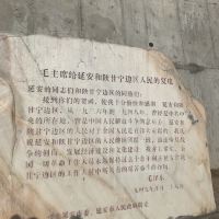 評論圖片 1