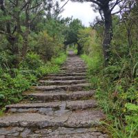 評論圖片 6
