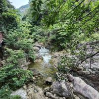 評論圖片 8