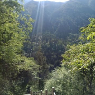 評論圖片 8