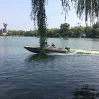 評論圖片 3