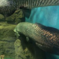 評論圖片 7