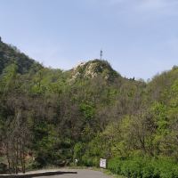 評論圖片 5