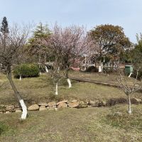 評論圖片 4