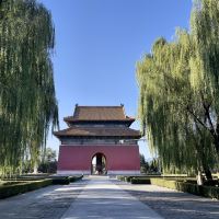 評論圖片 3