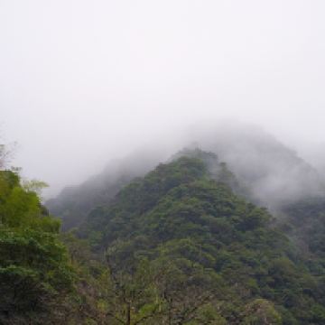 評論圖片 8