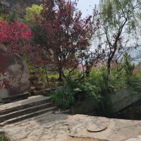 評論圖片 5