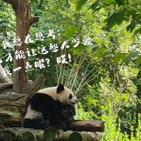 評論圖片 6