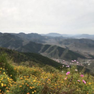 評論圖片 1