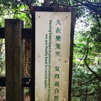 評論圖片 2