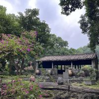 評論圖片 4