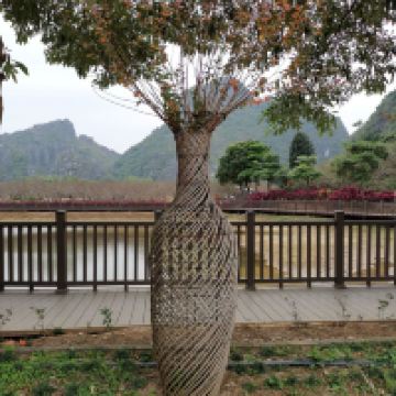評論圖片 7