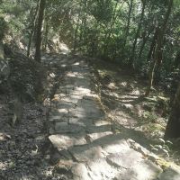 評論圖片 6