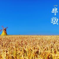 評論圖片 9