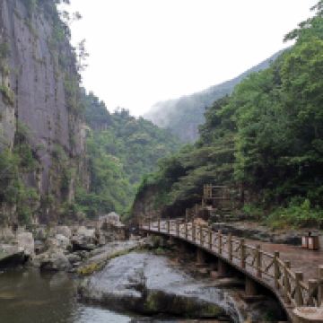 評論圖片 4