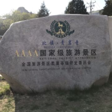 評論圖片 5