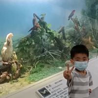 評論圖片 2