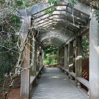 評論圖片 2