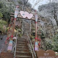 評論圖片 2