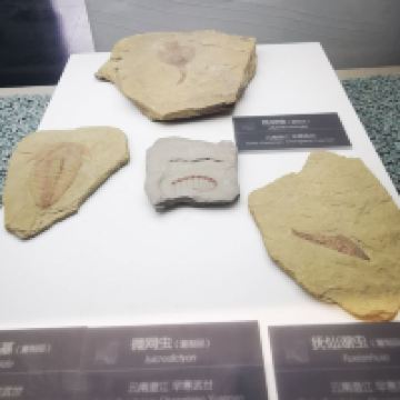 評論圖片 8