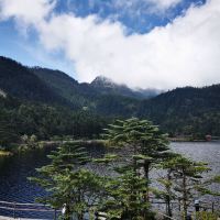 評論圖片 7
