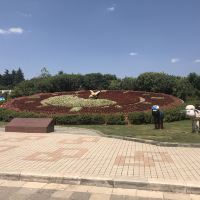 評論圖片 1