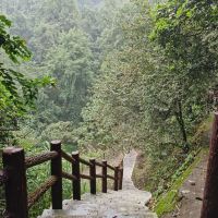 評論圖片 7