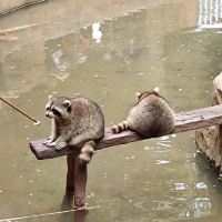 評論圖片 8