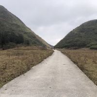 評論圖片 9