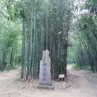 評論圖片 3
