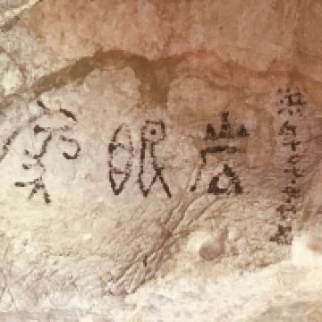 評論圖片 5