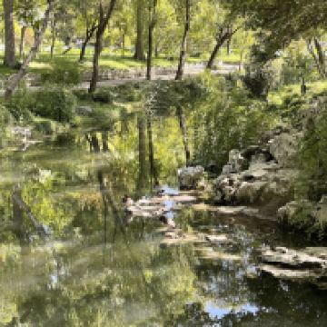 評論圖片 8