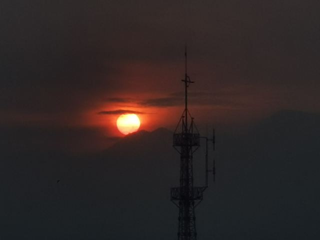 도원동