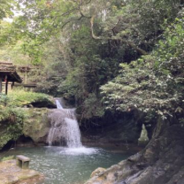 評論圖片 1