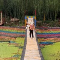 評論圖片 3
