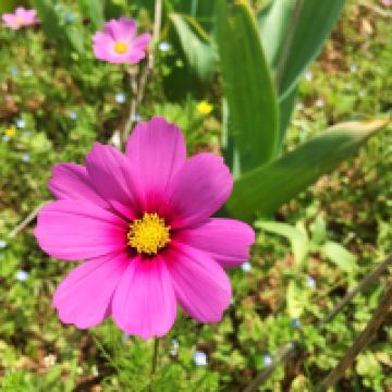 評論圖片 4