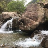 評論圖片 5