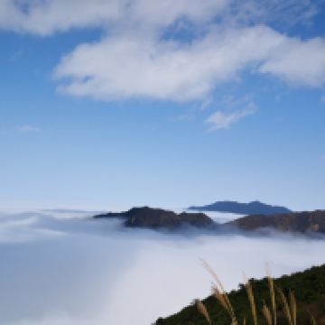 評論圖片 4