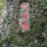 評論圖片 6