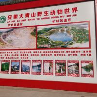 評論圖片 9