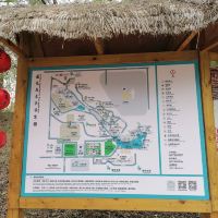 評論圖片 4