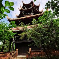 評論圖片 1