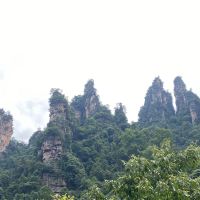 評論圖片 3