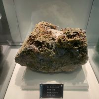 評論圖片 7