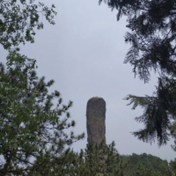 評論圖片 8