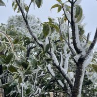 評論圖片 4
